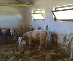 gallery image thumbnail