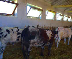 gallery image thumbnail