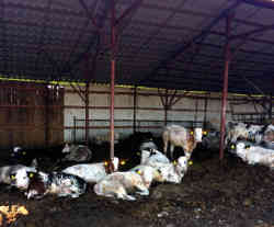 gallery image thumbnail