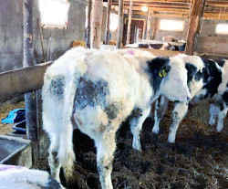 gallery image thumbnail